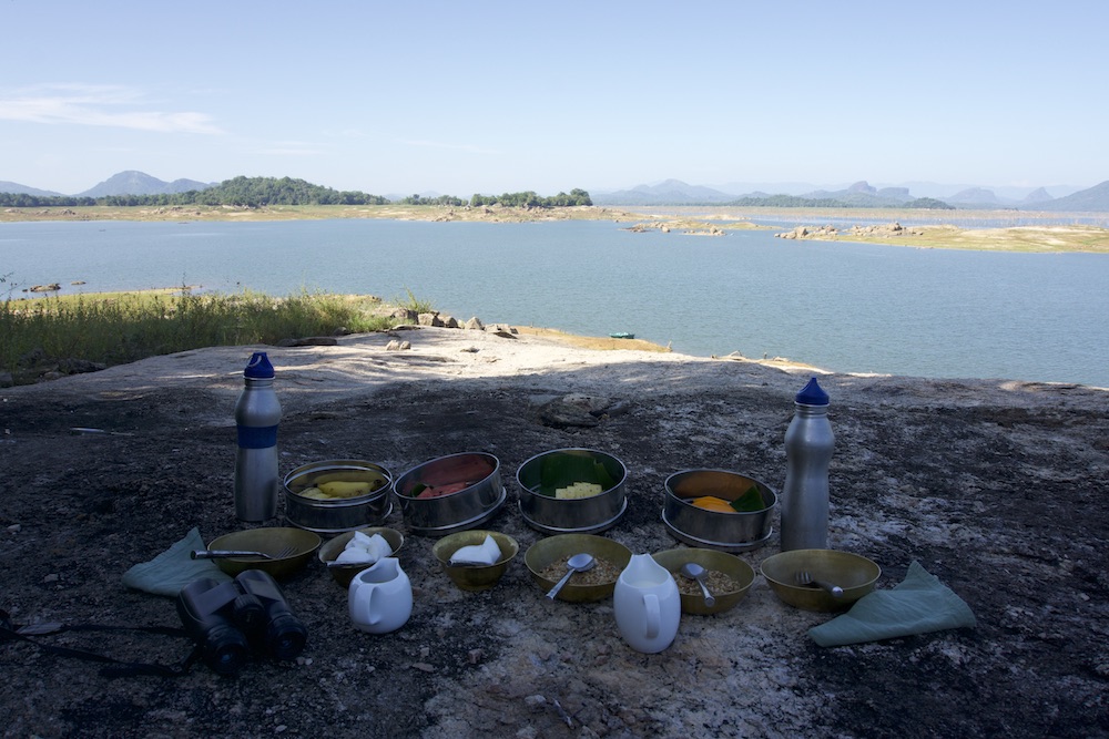 Boat Safari & Picnic Breakfast on Gal Oya Reservoir
