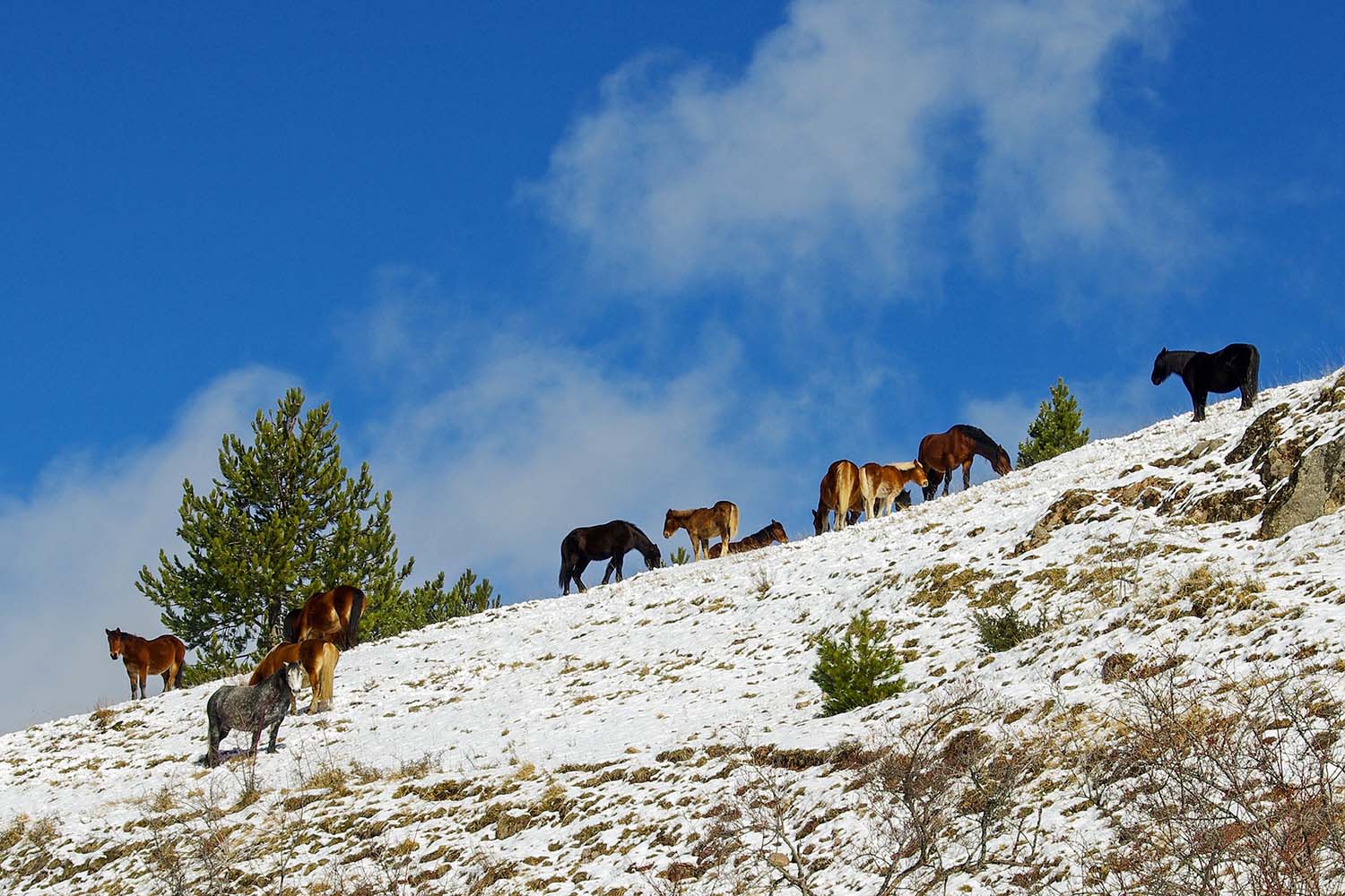 Biking, hiking or horseback riding in the Gran Sasso National Park