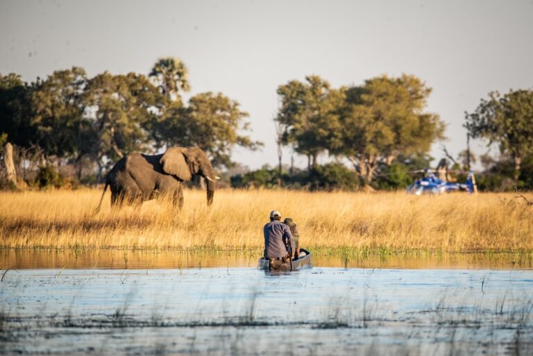 Amala destinations - BEAGLE EXPEDITIONS - A heli safari like no other (Kyle de Nobrega)