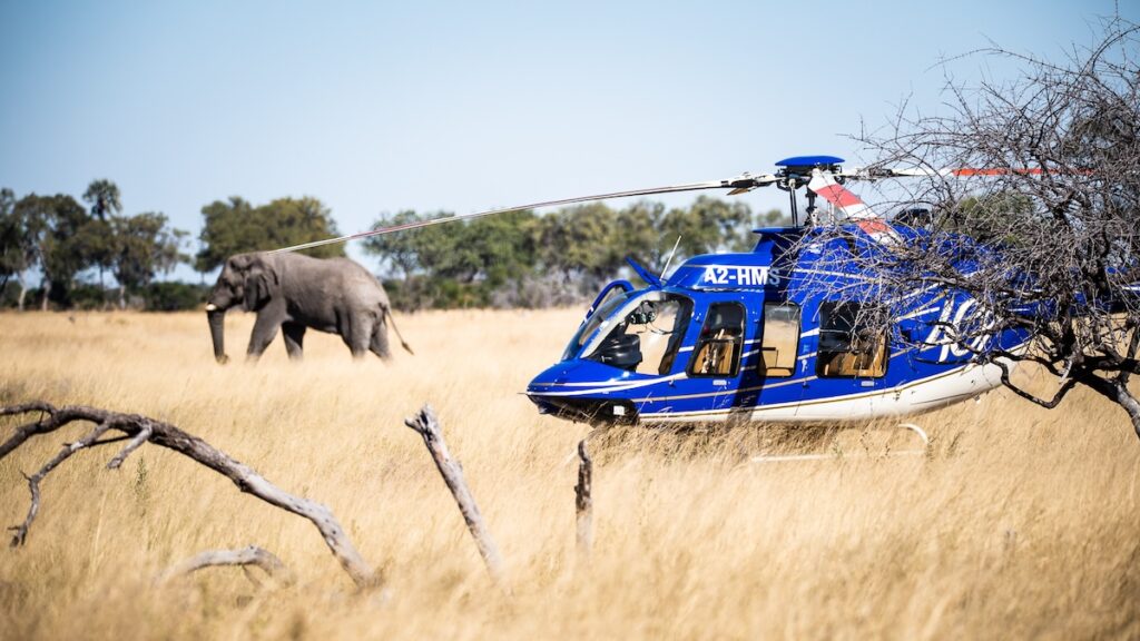 BEAGLE EXPEDITIONS - Botswana Amala Destinations