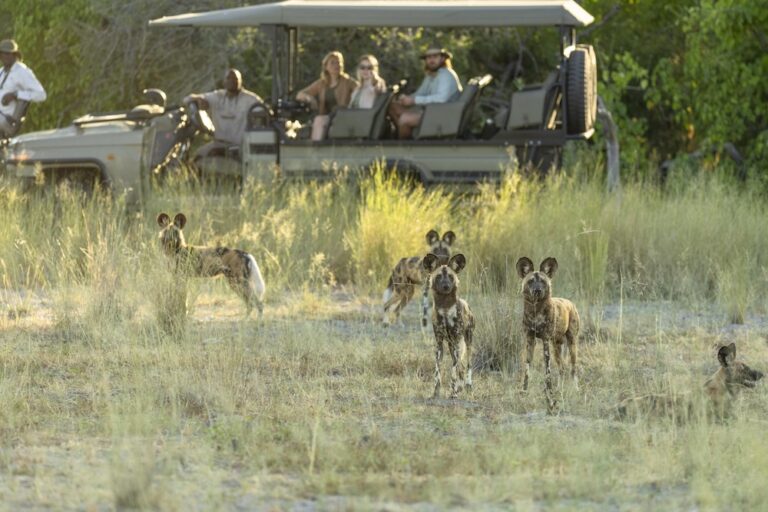 Amala destinations - BEAGLE EXPEDITIONS - Snack stop