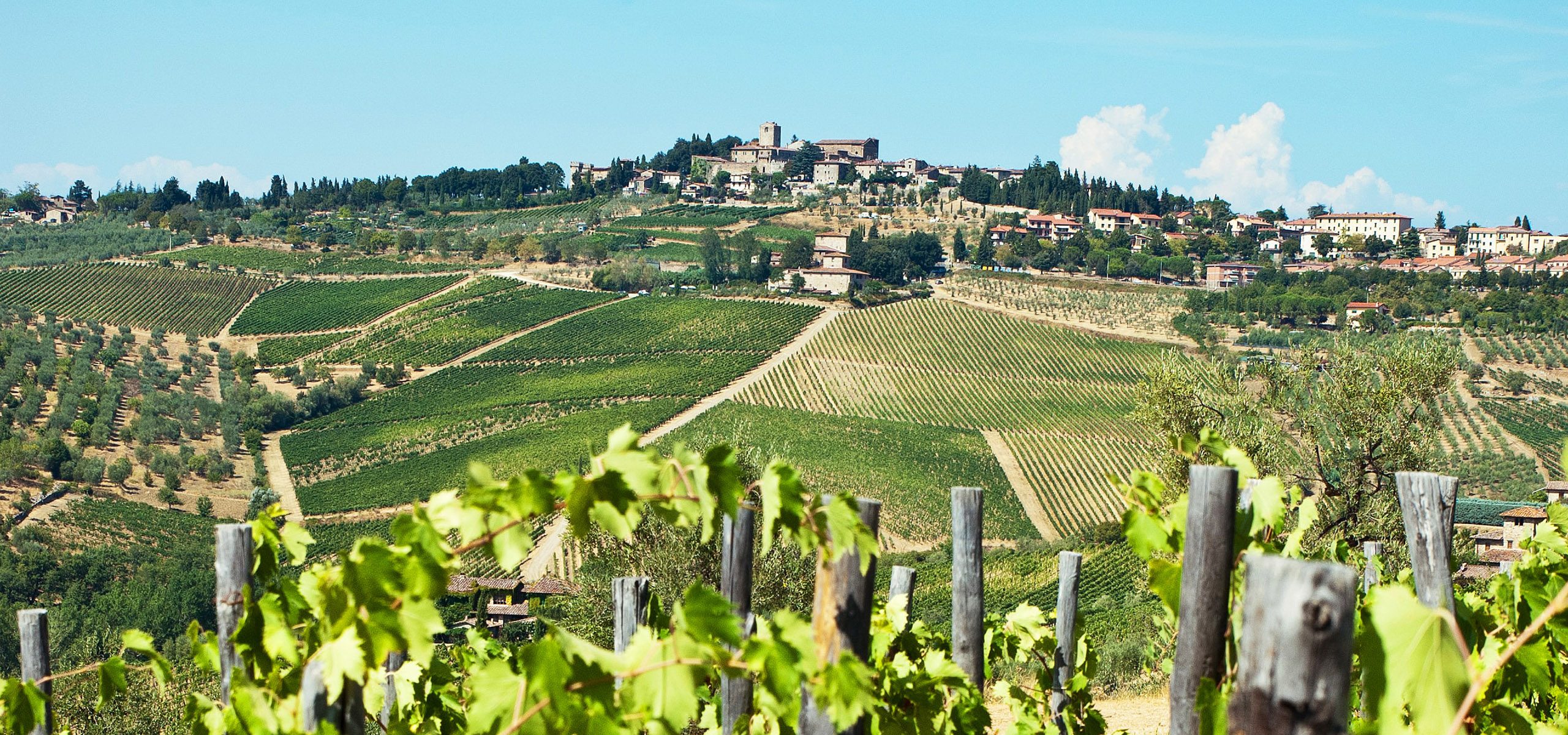 Italy-Tuscany-Wineries