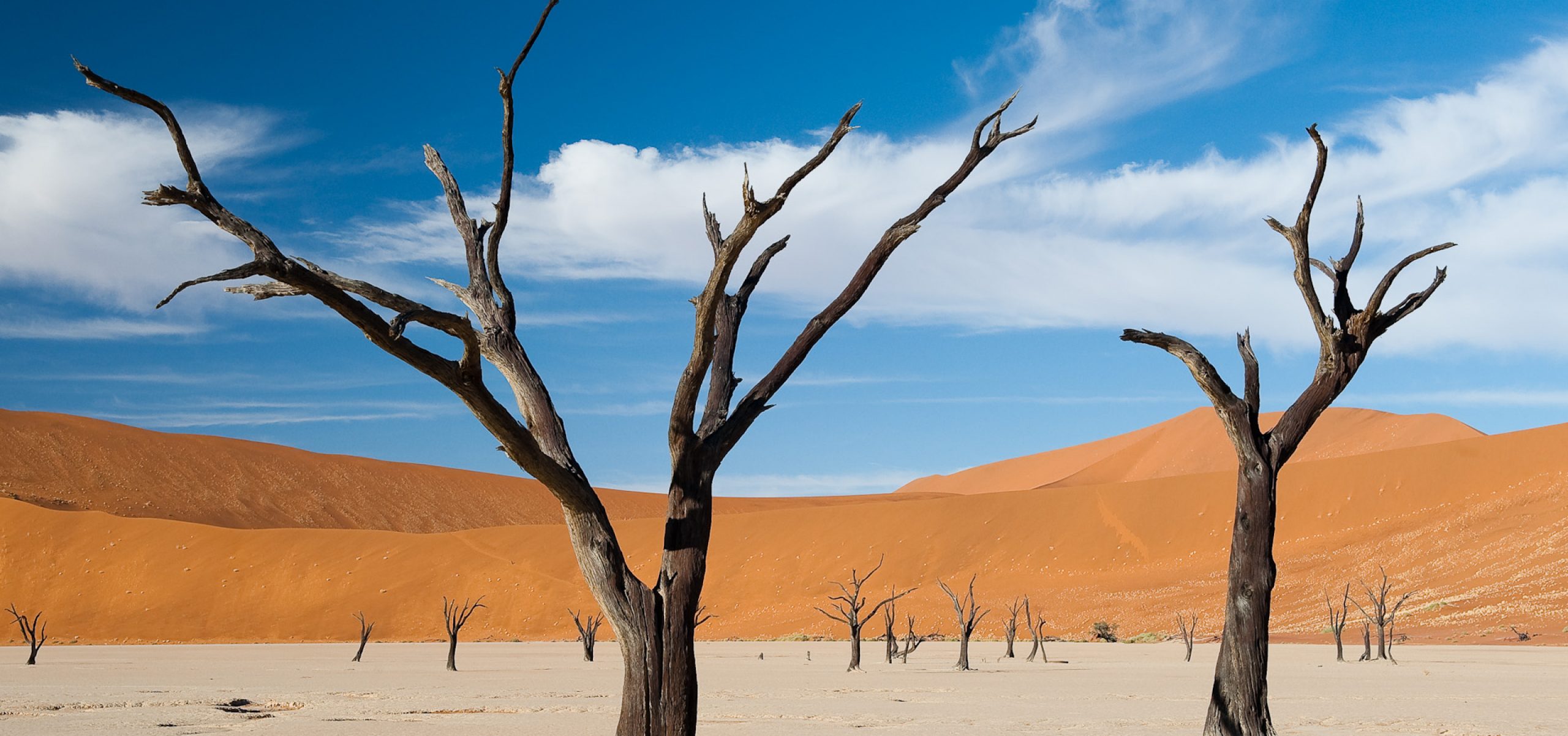 Namibia - Sossusvlei Deadvlei