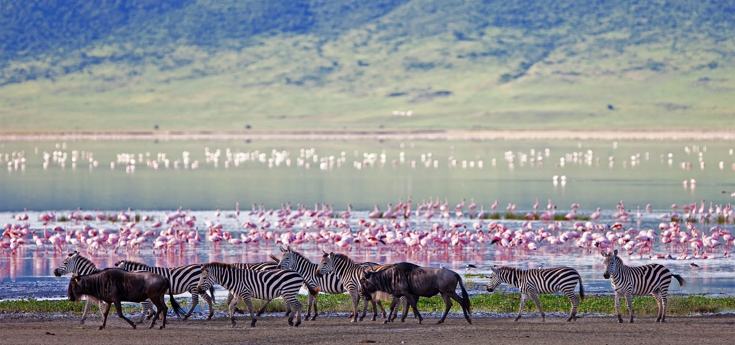 Tanzania_Ngorongoro_Lake Manyara