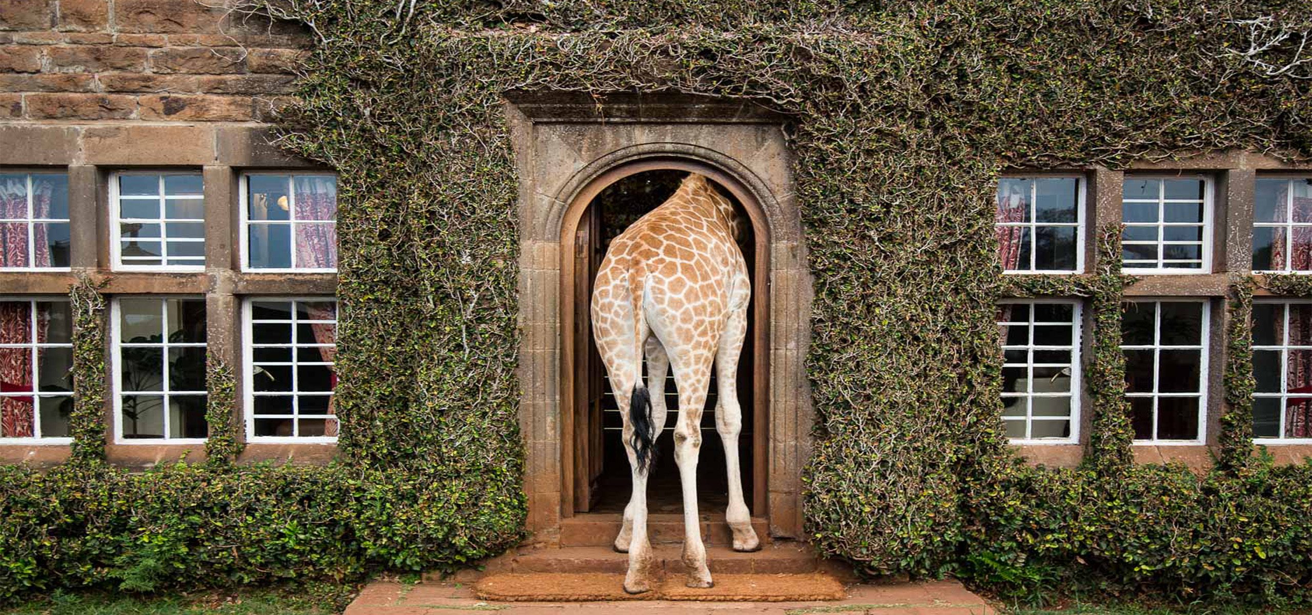 Kenya - Nairobi - Giraffe Manor