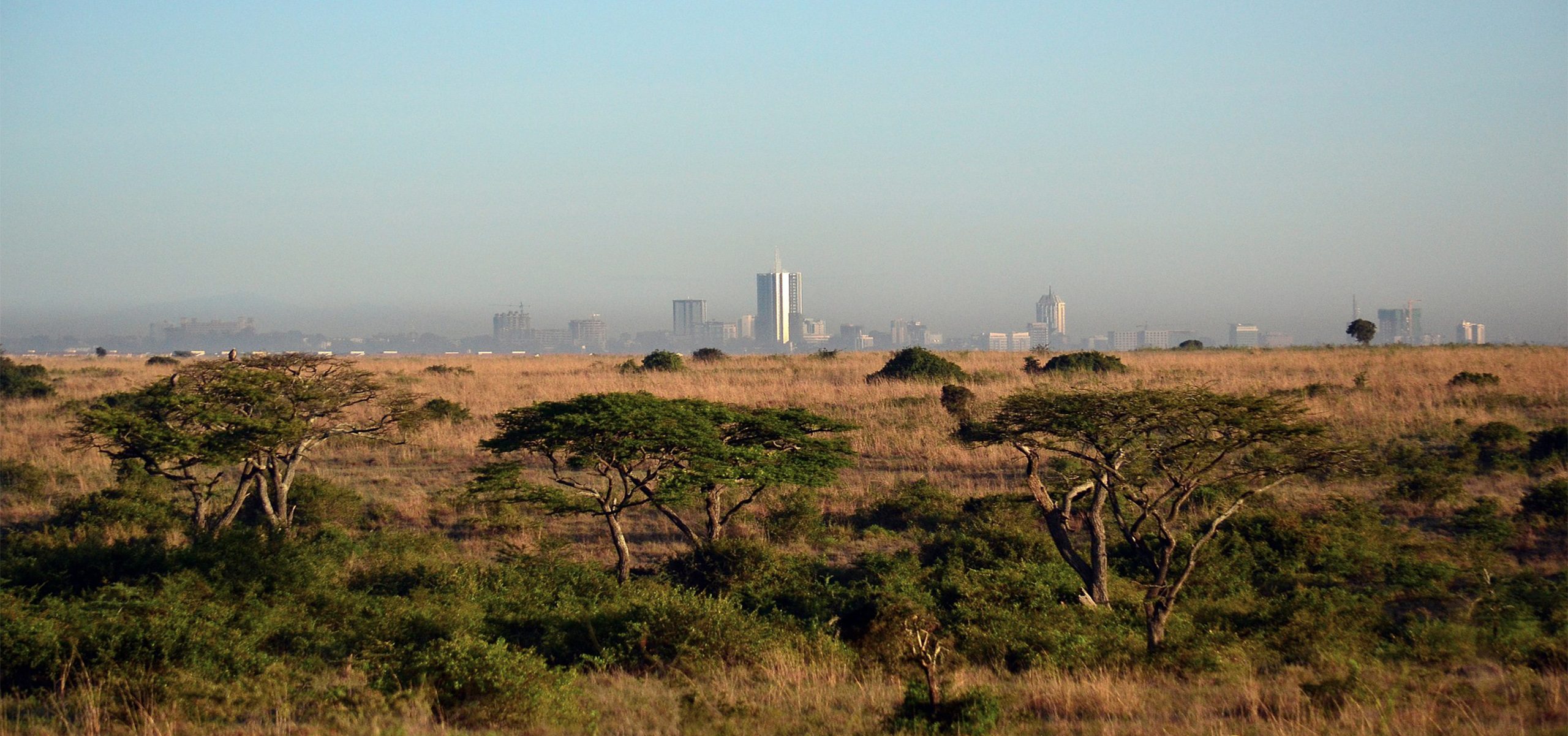 Kenya - Nairobi - City