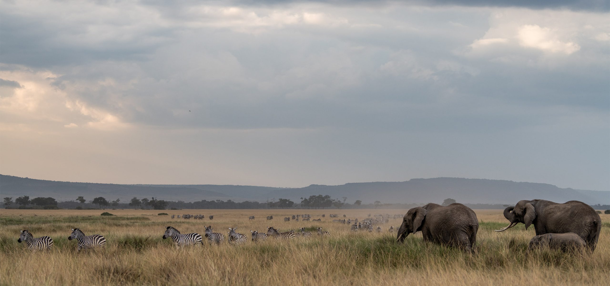 Kenya - Maasai Mara